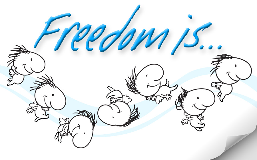 Freedom Is…